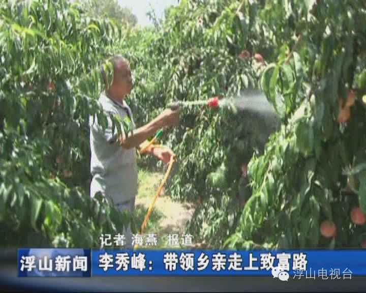 农村致富项目种植业_农业致富种植项目_农作物种植致富路视频