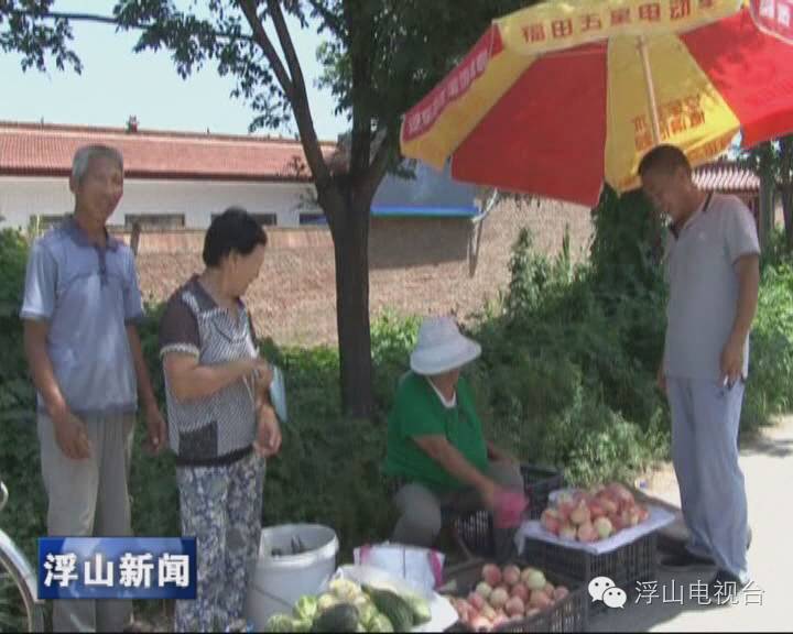 农作物种植致富路视频_农业致富种植项目_农村致富项目种植业