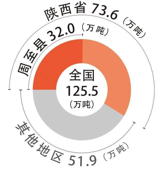 农民种植什么收入最高？这种水果价值最高，很多农民朋友不知道它