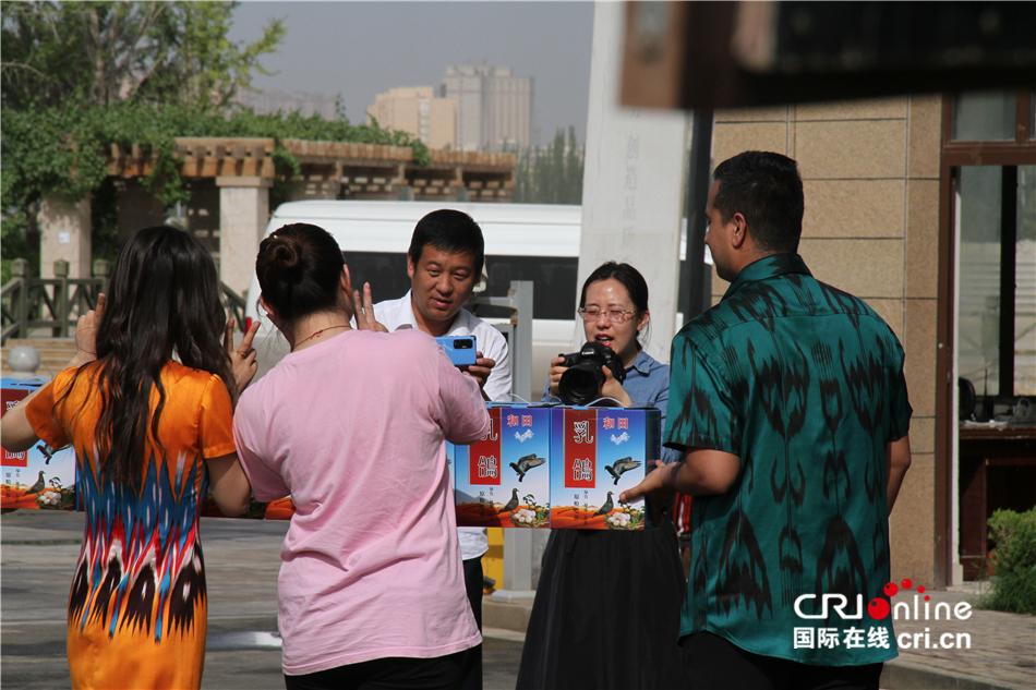 人工养殖小鸽子_肉鸽养殖视频致富经_人工养殖肉鸽致富经