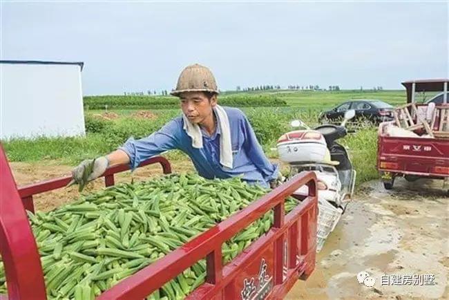 投资50万种植致富_致富种植投资人是谁_致富种植投资方案