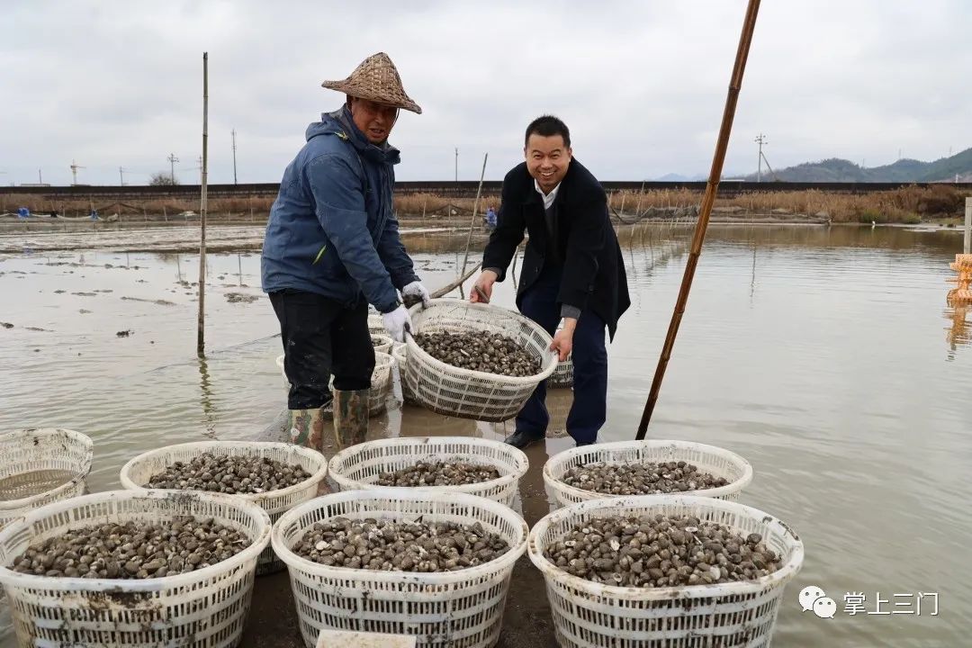 海水养虾的养殖周期多长_海水养殖东方虾技术_海水养虾的基本知识视频