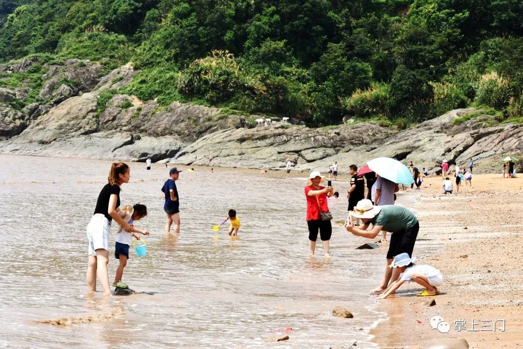 海水养殖东方虾技术_海水养虾的养殖周期多长_海水养虾的基本知识视频