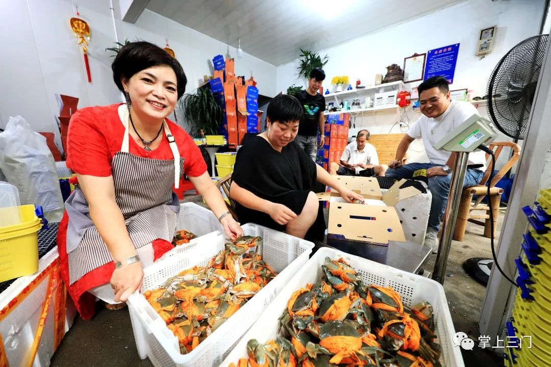 海水养虾的基本知识视频_海水养殖东方虾技术_海水养虾的养殖周期多长