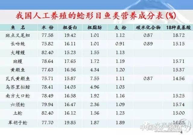 我国鲶形目鱼类养殖现状与未来发展前景分析