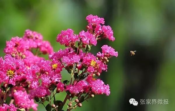 致富养殖网_男子加盟养殖致富项目_致富养殖好项目大全