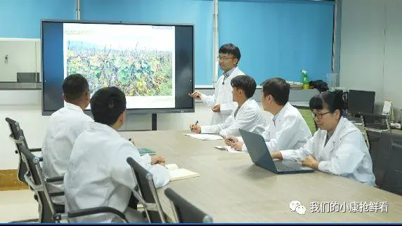 冬瓜种植视频播放_种植冬瓜挣钱吗_种植冬瓜致富视频