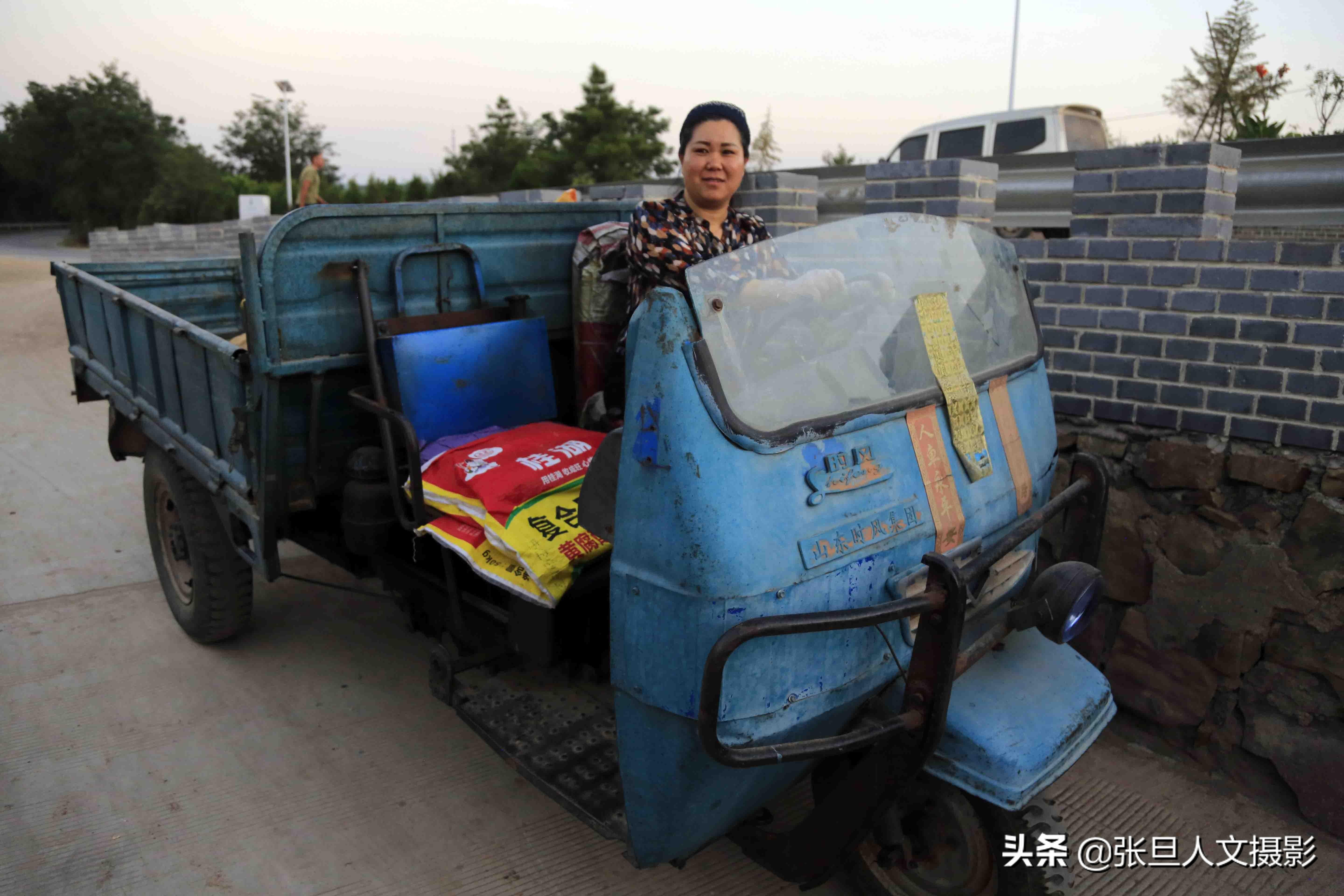 种核桃的视频_核桃种植技术视频教程_致富经核桃种植视频