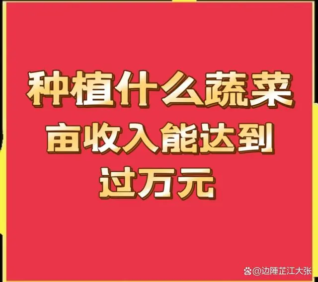 种植这些蔬菜，每亩收入轻松过万元，一般人我真不告诉他！