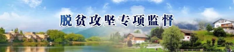 桑黄种植大棚，一次跨越2500公里的实地督查