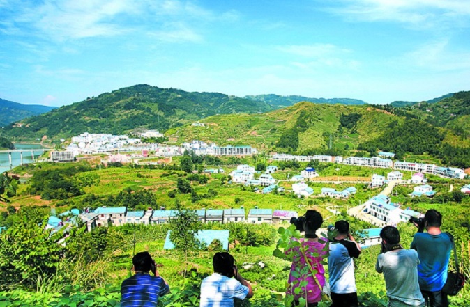 致富种植农民方向图片新闻报道_农民种植致富新方向图片_致富种植视频全集