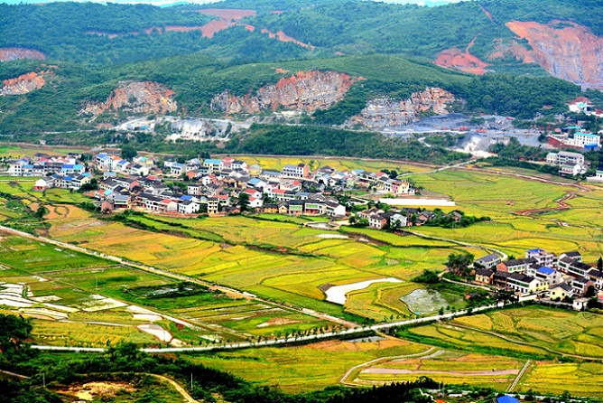 农民种植致富新方向图片_致富种植农民方向图片新闻报道_致富种植视频全集