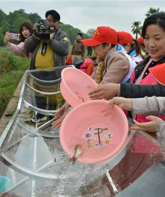 【资讯集锦】江华：300万尾鱼苗放流涔天河|移民新村：壮美的瑶族建筑景观|野猪桥：千亩桃花笑春风|前进村：桃花园里致富经