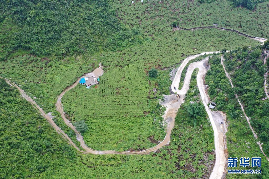 养殖松鼠赚钱吗_致富经松鼠养殖_松鼠养殖前景