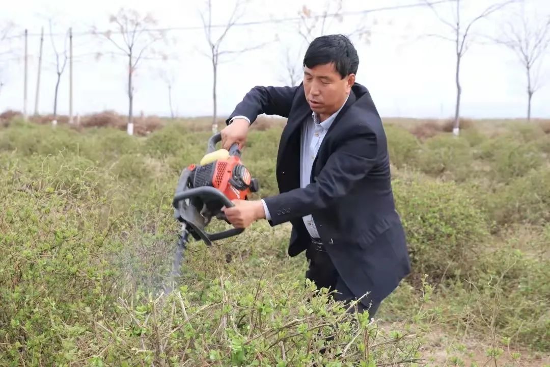 村民种植黑皮冬瓜致富_渭南菌包厂_渭南种植致富菌