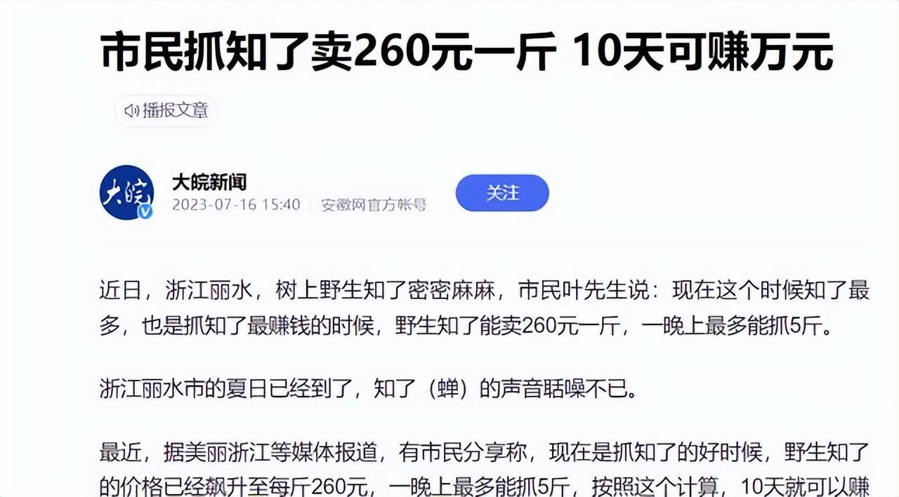 中央七台致富经栏目卖人参_中央台致富节目_中央七台致富经人参果