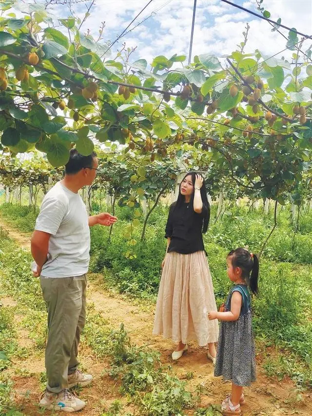 渭南菌包厂_渭南种植致富菌_农村种植什么能致富