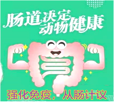 致富养殖信息_专家谈养殖致富_养殖致富经