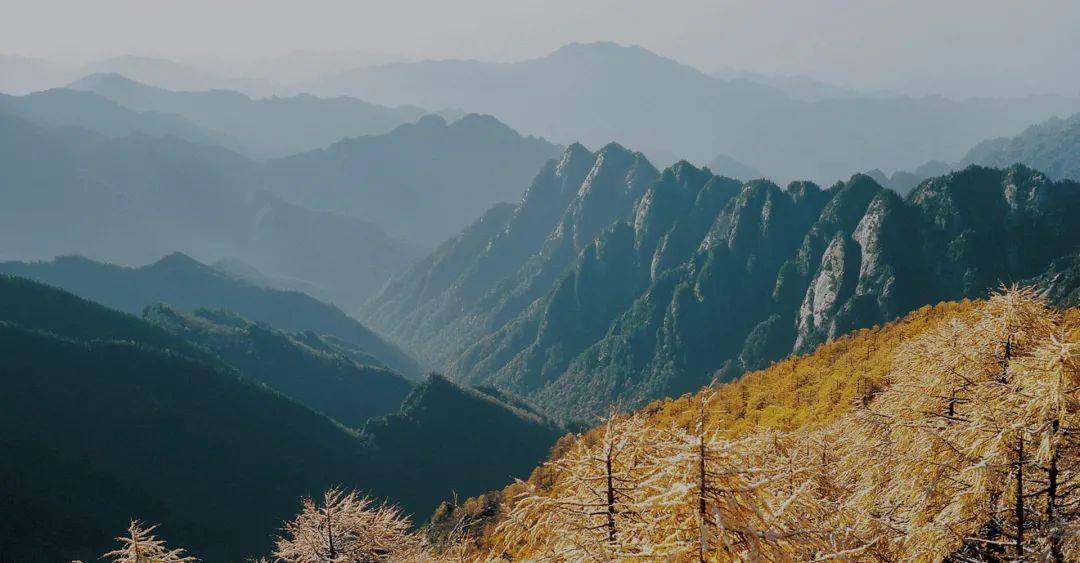 山泉饮用水致富经_致富饮用山泉水怎么样_山泉水投资有利润吗