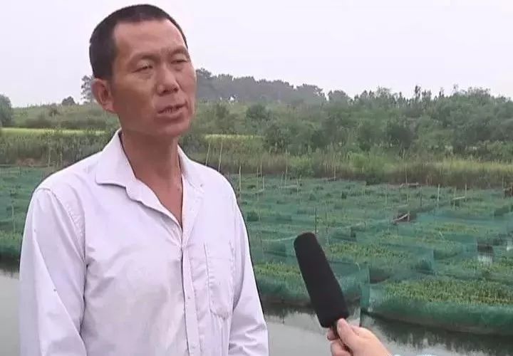 致富黄鳝养殖_致富养殖黄鳝怎么样_致富养殖黄鳝赚钱吗