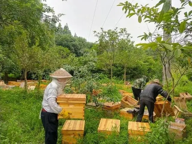 养殖什么致富项目_致富养殖项目大全_致富养殖项目有哪些