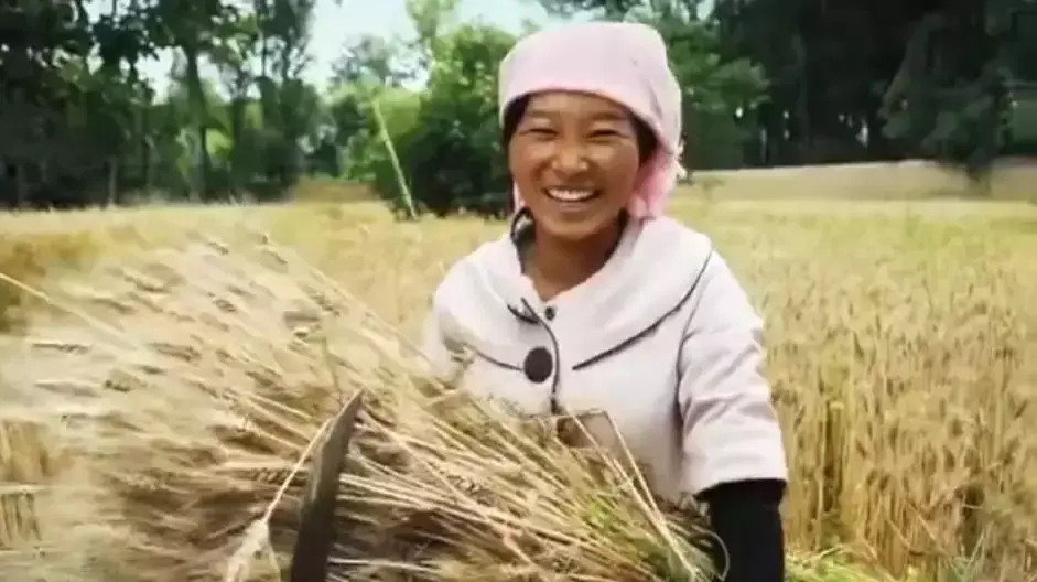 致富经宠物_致富项目养狗_致富经养殖狗视频大全