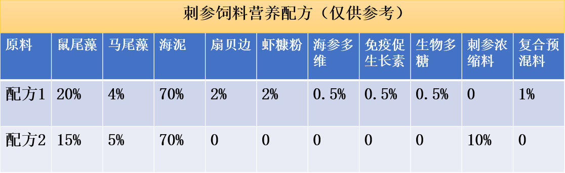 海参网箱养殖技术要点_海参网箱养殖技术_海参养殖网箱技术规范