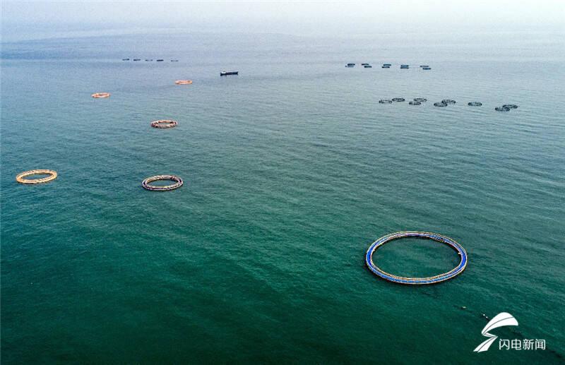 「星辰大海」网箱养殖，休闲海钓，旅游研学…… 探访青岛最大规模海洋牧场