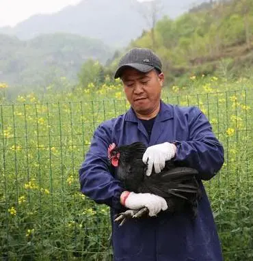 致富经蔡疯子养青蛙_致富经蔡疯子养青蛙_致富经蔡疯子养青蛙