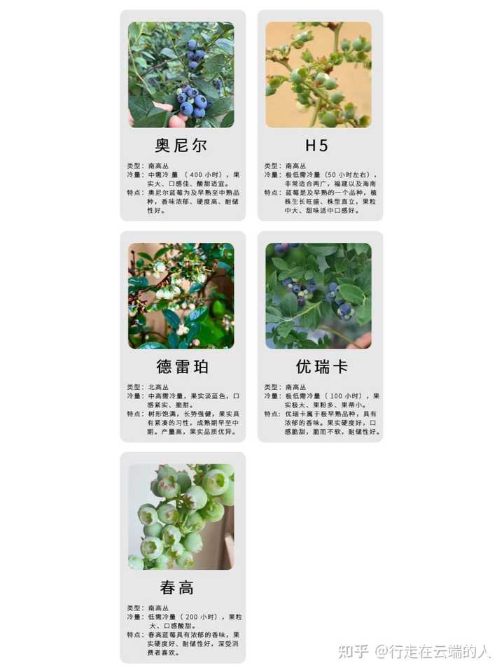 室内种植创业_室内种植致富项目_室内种植什么可以发家致富