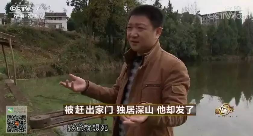 中央台致富节目_中央七台致富经栏目竹鼠_中央台致富经联系方式