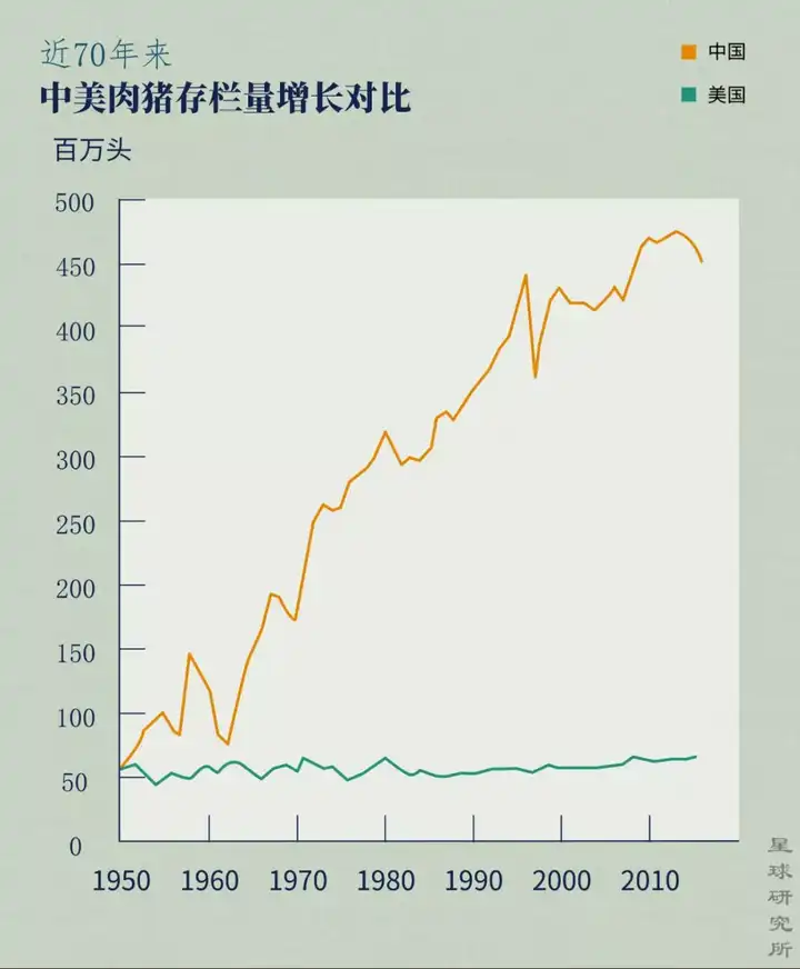 母猪养殖设备_母猪养殖致富机器_致富养殖母猪机器视频