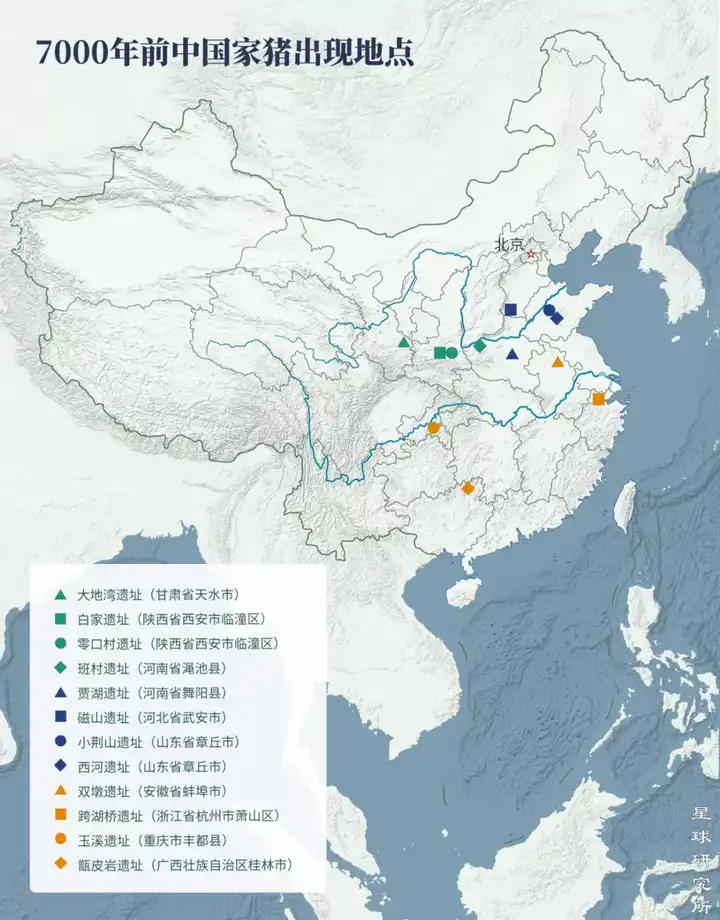 致富养殖母猪机器视频_母猪养殖致富机器_母猪养殖设备