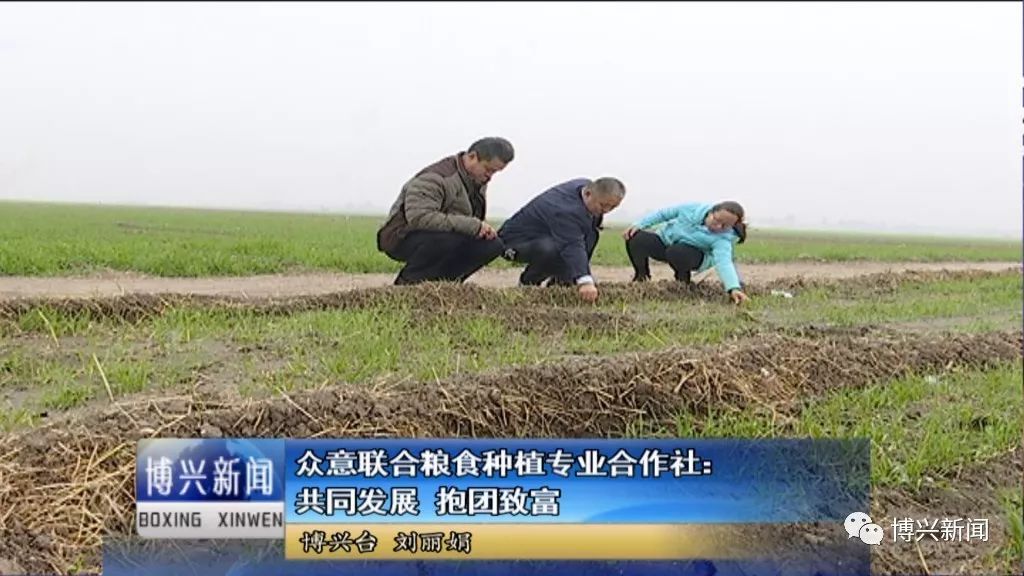 致富粮食种植农民视频_粮食种植农民致富_致富粮食种植农民的句子