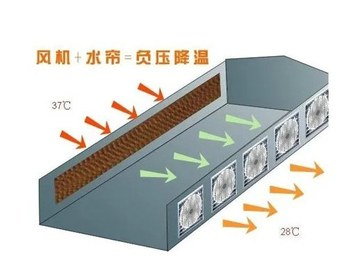 母猪养殖致富机器_母猪养殖设备_致富养殖母猪机器图片