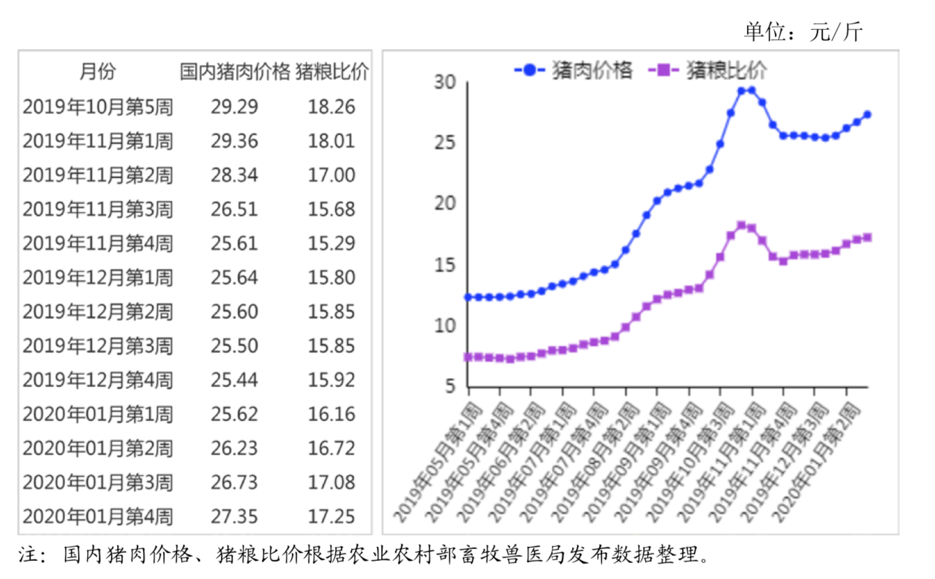 生猪养殖致富商_致富生猪养殖商电话_致富经生态养殖猪视频