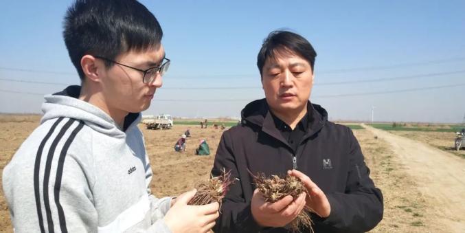 特色中草药种植 探索农户致富新模式