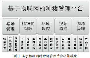 种猪养殖的相关技术_种猪养殖要点_养殖种猪相关技术有哪些