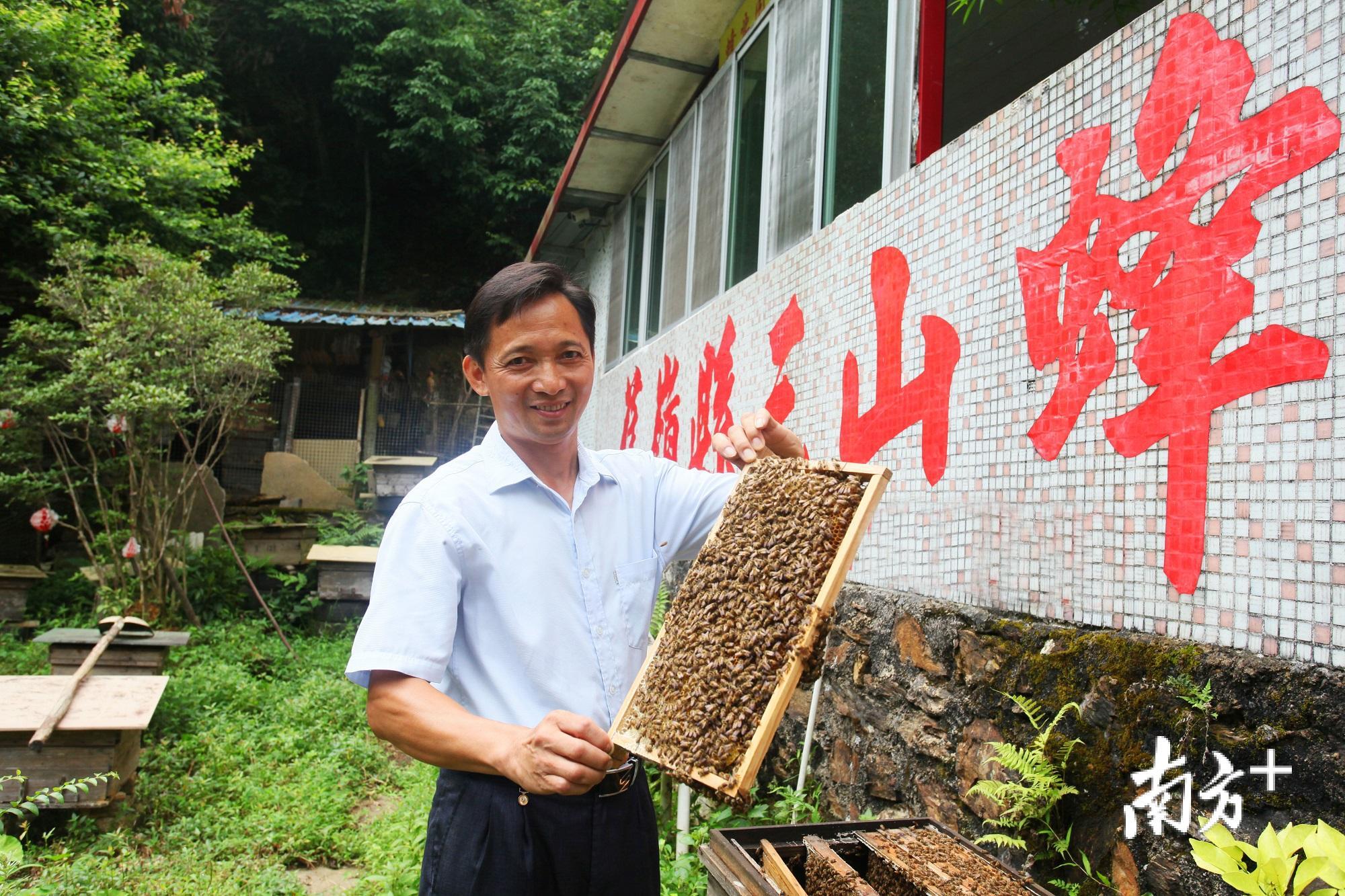 蜜蜂养殖技术书籍在线阅读_蜜蜂养殖实用技术书籍_蜜蜂养殖入门教程pdf