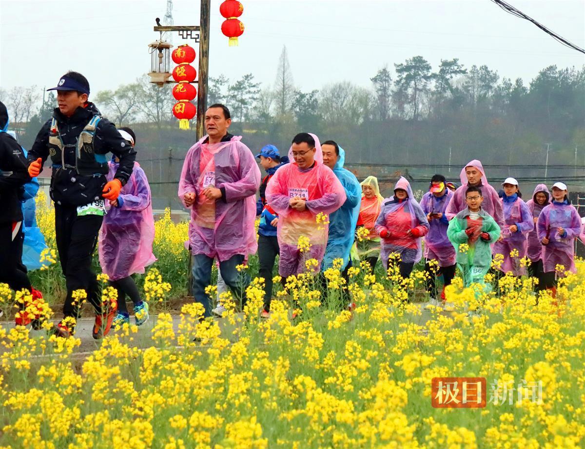 宜昌百里荒举办登山挑战赛，310名选手在花海丛林中奔跑