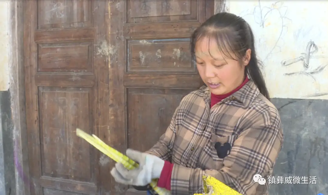 种植致富新项目_沅陵致富项目种植_农村致富新项目种植业