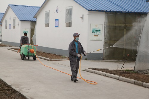 养鸽场如何制定完善的消毒措施