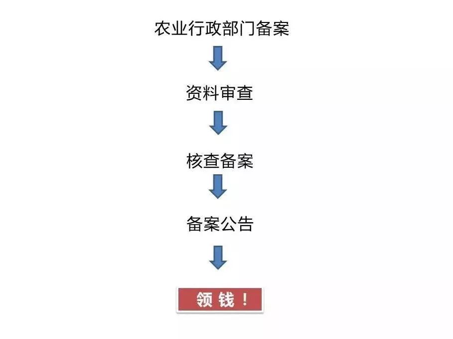 青储饲料技术视频_致富经青储饲料_做青储饲料的利润