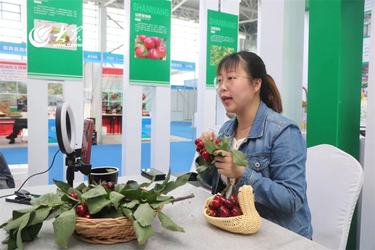 致富特产种植土豆视频_土特产种植致富_致富好项目特种菜种植