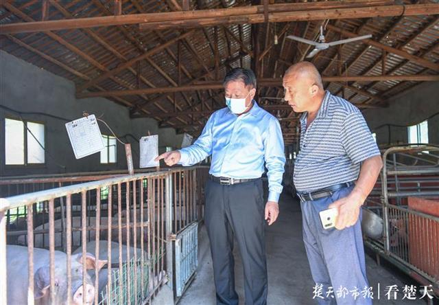 土鸡养殖致富故事_致富养殖土鸡故事视频_致富养殖土鸡故事简介