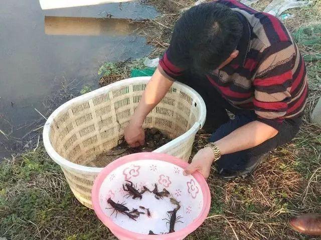 致富经王如峰视频_致富经王新兵_致富经王武