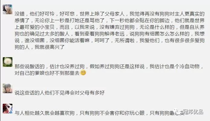 养狗视频 致富经_致富经养狗致富故事_致富经养殖狗视频大全