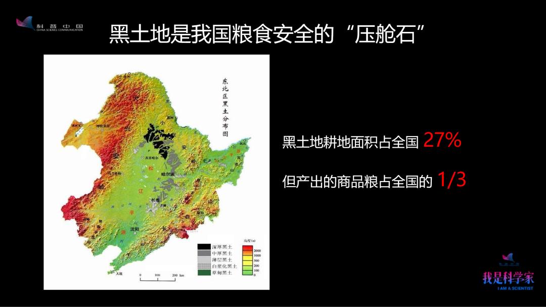 致富东北种地种植视频_东北种地种植致富_东北种植业什么前景最好农村