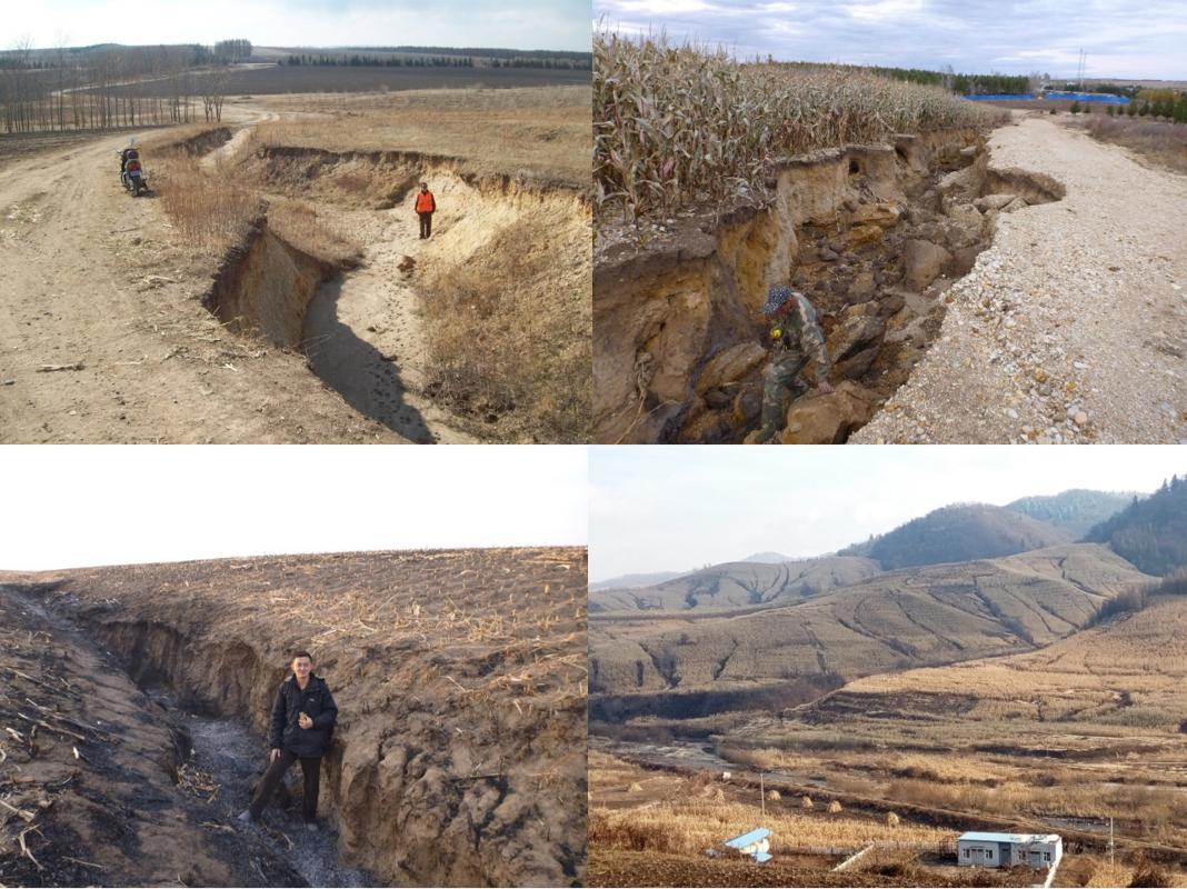 东北种地种植致富_致富东北种地种植视频_东北种植业什么前景最好农村