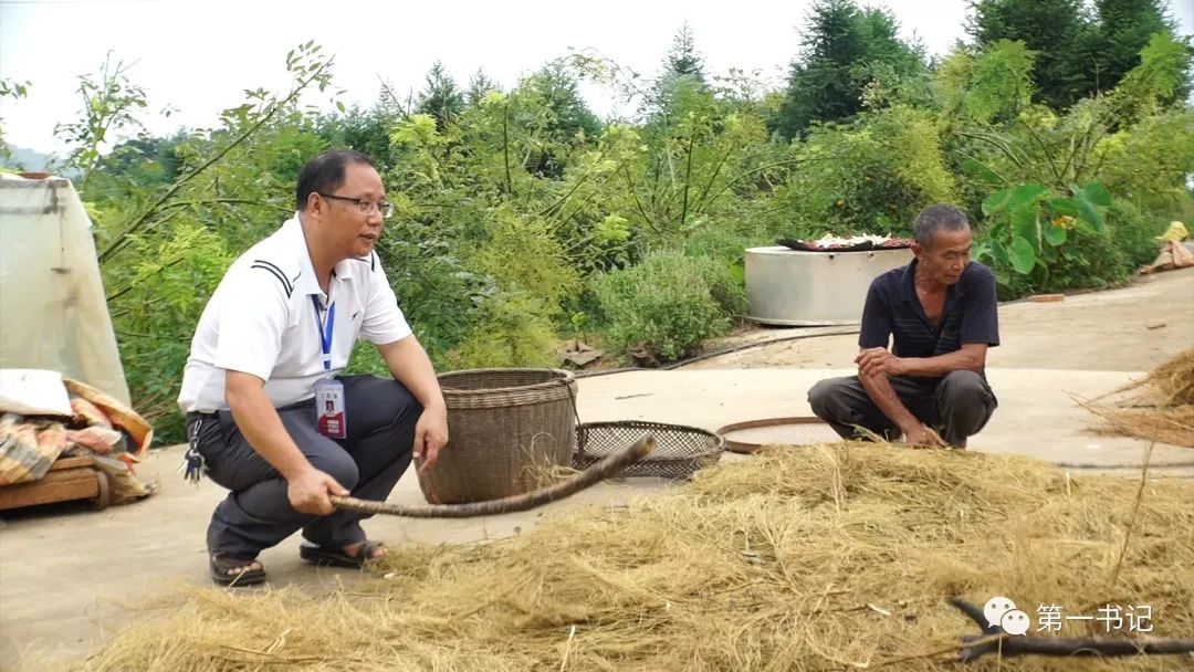 广西种植大户名单_广西致富种植项目_广西全州种植致富